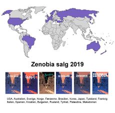 Zenobia i hele verden.jpg